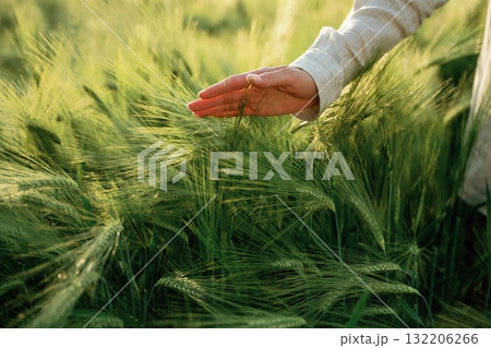 Woman in white is on the agricultural wheat field Woman in white is on the agricultural wheat field 132206266