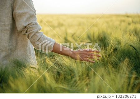 Touching the plants. Woman in white is on the agricultural wheat field 132206273