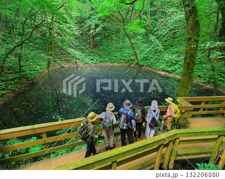 夏の青森十二湖　新緑に囲まれた青池を臨む滑降客 132206880