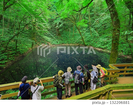 夏の青森十二湖　新緑に囲まれた青池を臨む滑降客 132206881