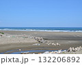 ところどころにゴミのある海 132206892