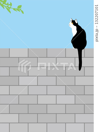 何かに気付いたような塀の上の白黒猫 何かに気付いたような塀の上の白黒猫 132207101