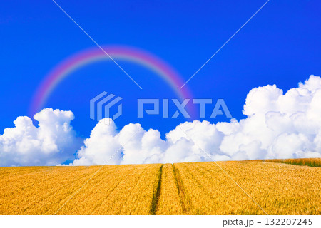 北海道の美しい田園風景にかかる虹 132207245