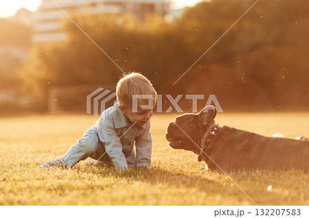 Illuminated by sunlight. Cute little boy is with dog on the field Illuminated by sunlight. Cute little boy is with dog on the field 132207583