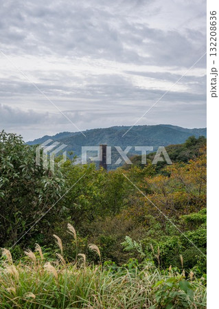 新緑が濃い夏の登山風景 132208636