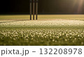 Cricket pitch with dew drops and stumps in golden light 132208978