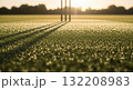 Soccer goal on dewy grass field at golden hour with bokeh effect 132208983