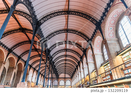 Sainte Genevieve library, Paris, France Sainte Genevieve library, Paris, France 132209119