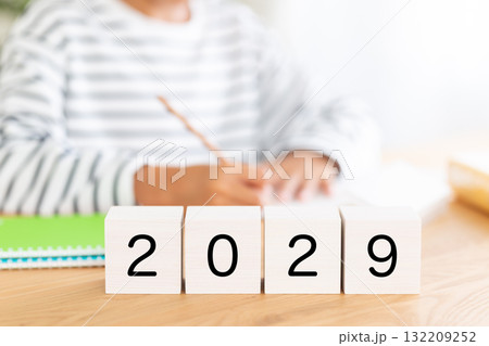 2029のブロックと勉強をする小学生の男の子 132209252