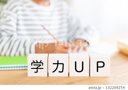 学力アップのブロックと勉強をする小学生の男の子 学力アップのブロックと勉強をする小学生の男の子 132209254