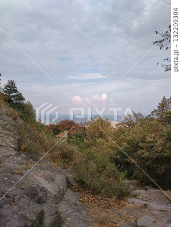 Hiking trail descending through lush foliage overlooking machovo jezero and bezdez castle in czechia 132209304