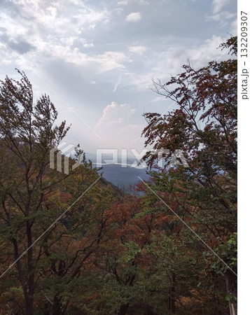 Machovo lake and bezdez castle emerging from colorful autumn foliage in czechia 132209307