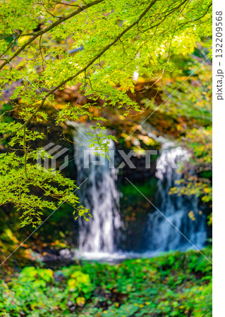 【山梨県富士吉田市】緑残る初秋の鐘山の滝（かねやまのたき） 132209568