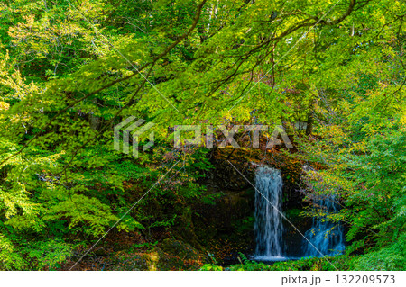 【山梨県富士吉田市】緑残る初秋の鐘山の滝（かねやまのたき） 132209573