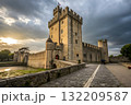 medieval castle on the hill 132209587