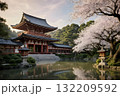 japanese temple with sakura flowers 132209592