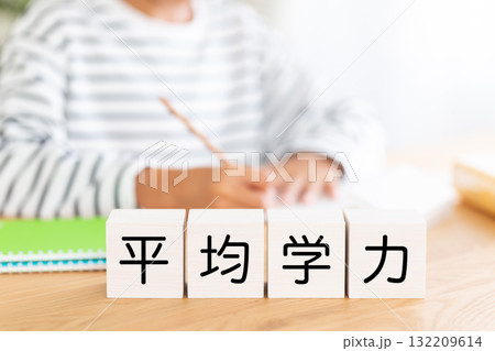 平均学力のブロックと勉強をする小学生の男の子 132209614