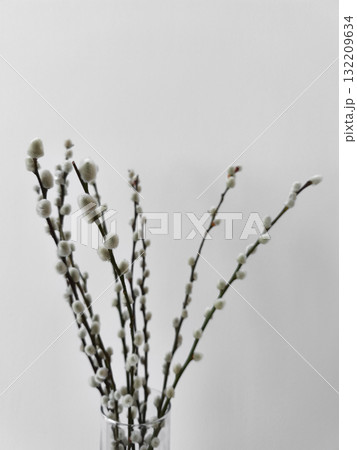 Willow branches showing new spring growth in glass vase on neutral background copy space for equinox day or easter 132209634