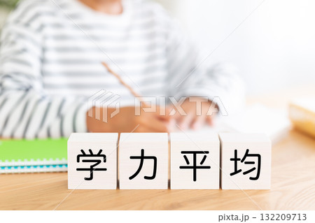 学力平均のブロックと勉強をする小学生の男の子 学力平均のブロックと勉強をする小学生の男の子 132209713