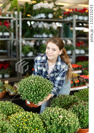 Female florist checks and cares for flowers of Euphorbia milii Female florist checks and cares for flowers of Euphorbia milii 132210243