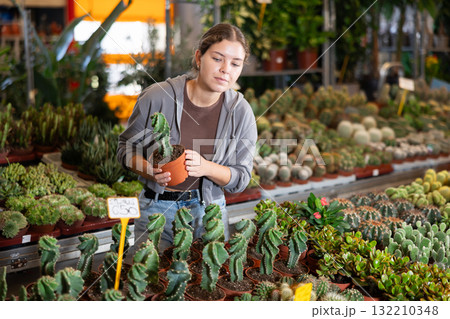 Girl works as auxiliary worker in plant store warehouse, review cactus seedling 132210348