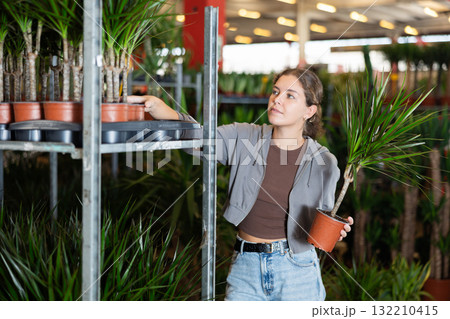 Girl works as auxiliary worker in plant store warehouse, review dracaena Girl works as auxiliary worker in plant store warehouse, review dracaena 132210415