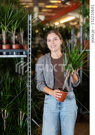Woman carefully selects dracaena flower in flower shop Woman carefully selects dracaena flower in flower shop 132210681