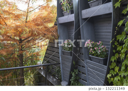 ivy leaves and an interior with boats 132211349