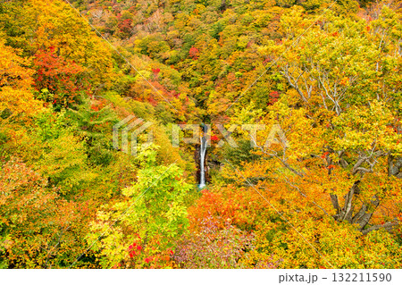 栃木県那須町　秋の紅葉に染まる駒止の滝 132211590