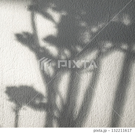 Bouquet of dry flowers.  Shadows on white wall 132211617