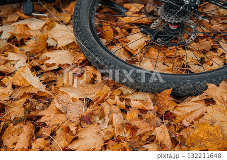Mountain bike wheel on autumn leaves 132211648