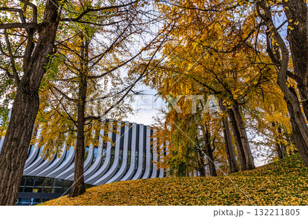 Golden autumn view in the Olympiapark in Munich, Germany Golden autumn view in the Olympiapark in Munich, Germany 132211805