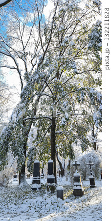 Winter view of famous Old North Cemetery of Munich, Germany with Winter view of famous Old North Cemetery of Munich, Germany with 132211828