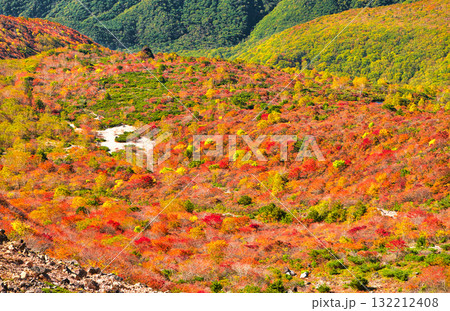 栃木県那須町　秋の紅葉に染まる姥ヶ平 132212408