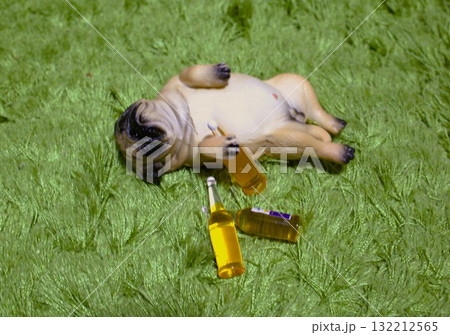 酔いつぶれたパグ犬 132212565