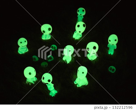 暗闇の中のこだま 暗闇の中のこだま 132212596