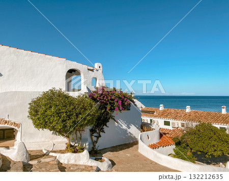 bougainvillea and white houses in La Almadrava 132212635