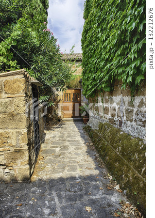 Ancient Stone Dwellings and Verdant Foliage in Civita di Bagnoregio Ancient Stone Dwellings and Verdant Foliage in Civita di Bagnoregio 132212676