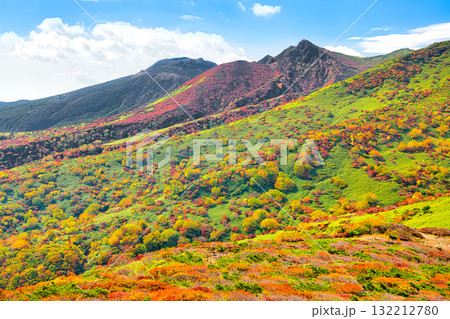 福島県西郷村　赤面山から見る秋の紅葉に染まる茶臼岳と朝日岳 132212780