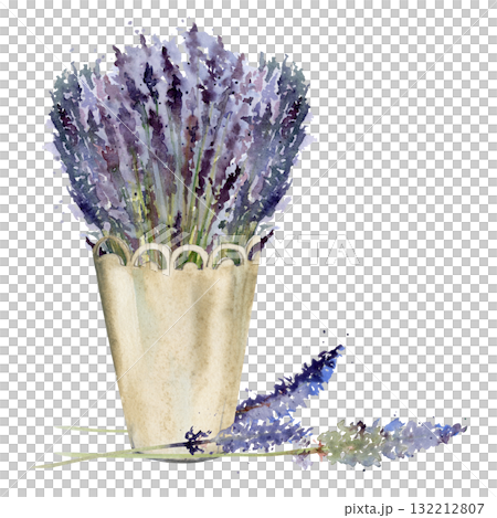 Wild lavender bouquet arranged in metal lace cachepot, lavandula flower stems stalks. Isolated illustration hand drawn in watercolor, loose style. Eco branding, romantic product tag, garden label. Wild lavender bouquet arranged in metal lace cachepot, lavandula flower stems stalks. Isolated illustration hand drawn in watercolor, loose style. Eco branding, romantic product tag, garden label. 132212807