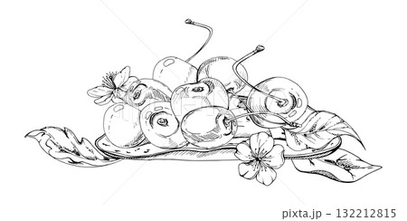 Sweet sour line cherry berries on ceramic plate, hand drawn vector ink, ripe cerise, leaves, white flowers. Isolated composition illustration. Restaurant, wedding, cafe dessert menu, farmers market Sweet sour line cherry berries on ceramic plate, hand drawn vector ink, ripe cerise, leaves, white flowers. Isolated composition illustration. Restaurant, wedding, cafe dessert menu, farmers market 132212815