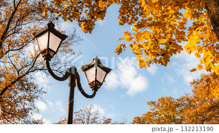 Golden Lamps Beneath Autumn Canopy and Blue Sky 132213190