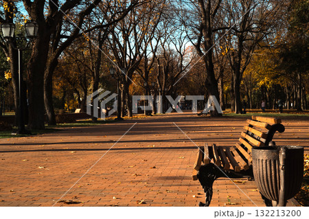 Quiet Autumn Path: Empty Park Bench Beneath Bare Trees Quiet Autumn Path: Empty Park Bench Beneath Bare Trees 132213200