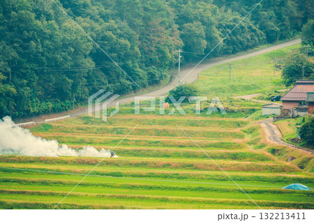 或る農村での野焼き【長野県】 或る農村での野焼き【長野県】 132213411