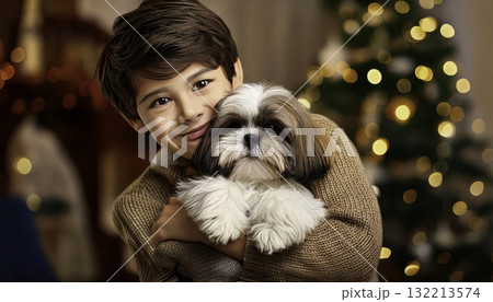 Boy Hugging Shih Tzu Dog Christmas Festive Cheer Boy Hugging Shih Tzu Dog Christmas Festive Cheer 132213574