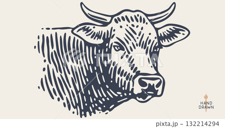 Cow, bull, beef. Hand drawn vintage retro print, black white cow, bull, beef sketch ink pencil drawing, engrave old school. Sketch artwork silhouette cow. Side view profile bull. Vector Illustration 132214294