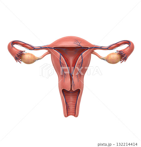 CGの子宮 132214414