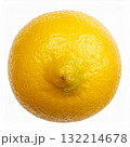 レモン（後ろ） 132214678