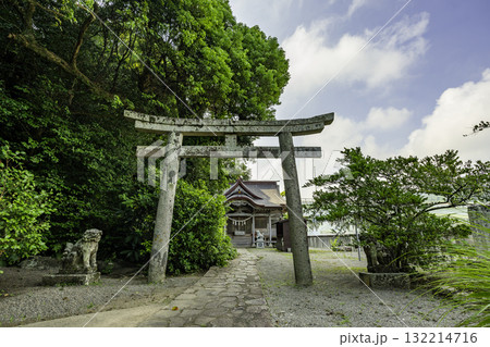 日向　美々津の町並み　立磐神社　鳥居と拝殿　宮崎県日向市 132214716