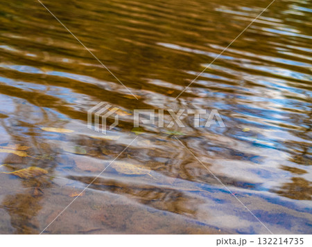 Calm waves in the river as a background. Water with waves in a warm color scheme Calm waves in the river as a background. Water with waves in a warm color scheme 132214735